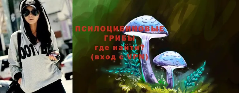 Галлюциногенные грибы Magic Shrooms  Новочебоксарск 